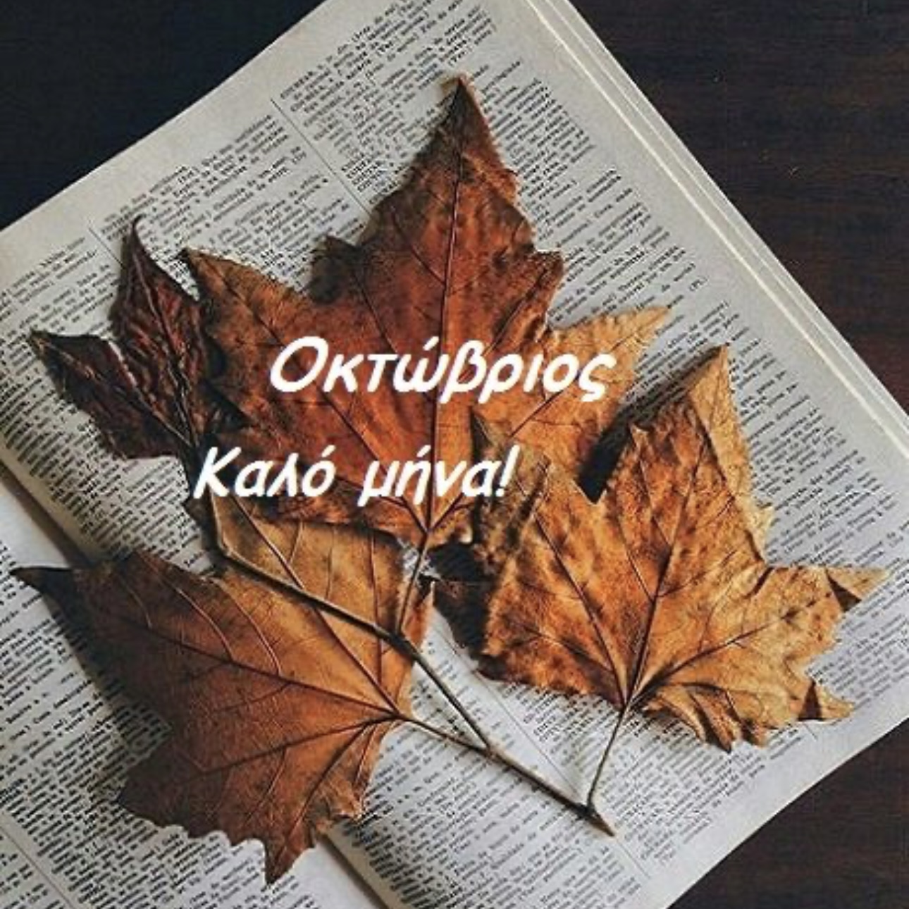 ✨ Πώς να οργανώσεις τον Οκτώβριο για να μην μείνεις πίσω στην ύλη